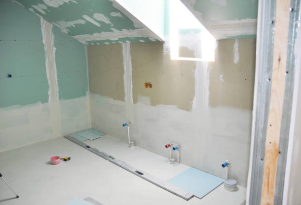 Best Forensic Mold Investigation  in Roseau, MN