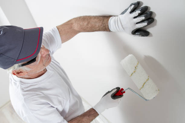 Best Biohazard Mold Removal  in Roseau, MN