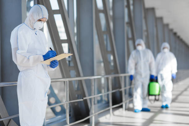 Best Air Quality Testing for Mold Spores  in Roseau, MN