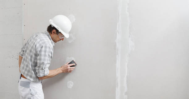 Best Mold Damage Restoration  in Roseau, MN