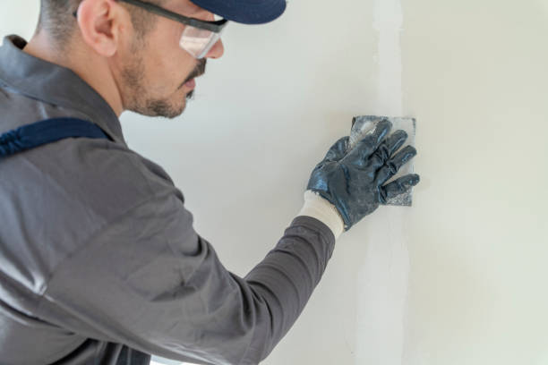 Best Commercial Mold Inspection  in Roseau, MN