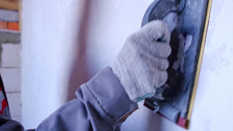 Best Mold Odor Removal Services  in Roseau, MN