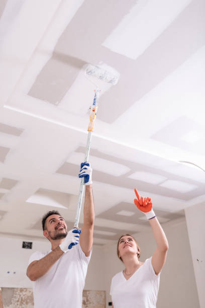 Best Industrial Mold Remediation  in Roseau, MN