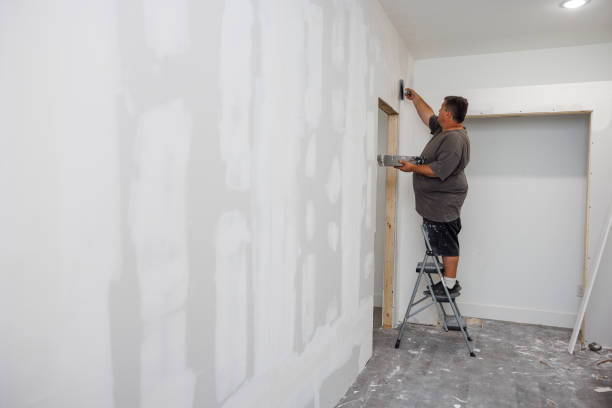 Best Real Estate Mold Inspection  in Roseau, MN