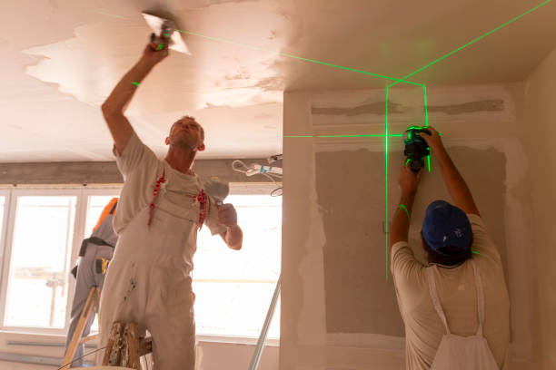 Best Basement Mold Removal  in Roseau, MN
