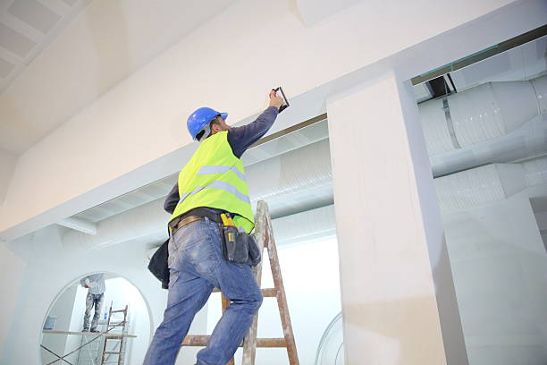 Best Asbestos and Lead Testing During Mold Inspection  in Roseau, MN