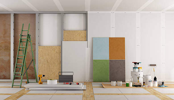 Roseau, MN Mold Removal Company